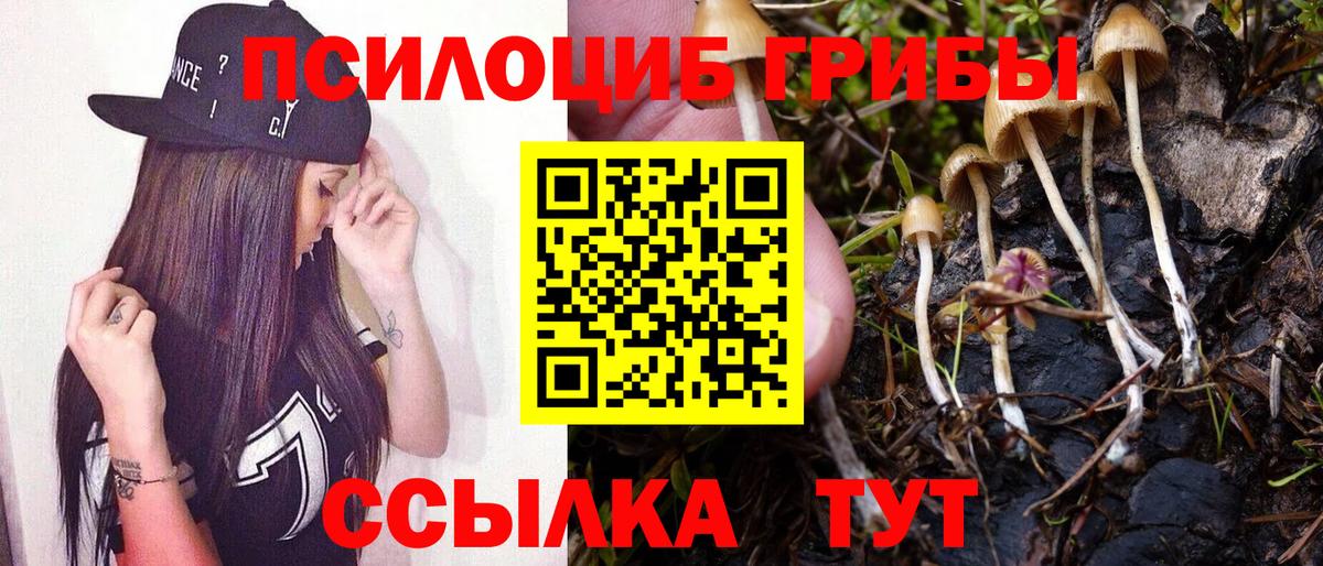 Дубна  Псилоцибиновые грибы GOLDEN TEACHER  Вход с VPN 