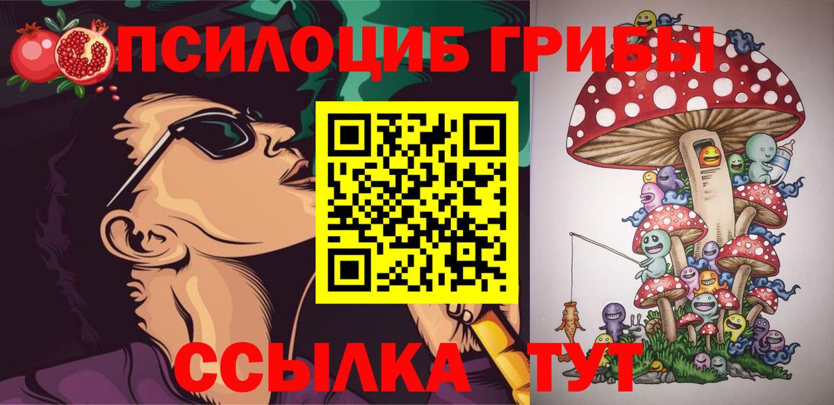 Галлюциногенные грибы мицелий Дубна