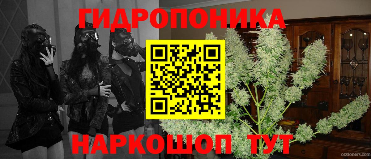 Конопля гибрид Дубна
